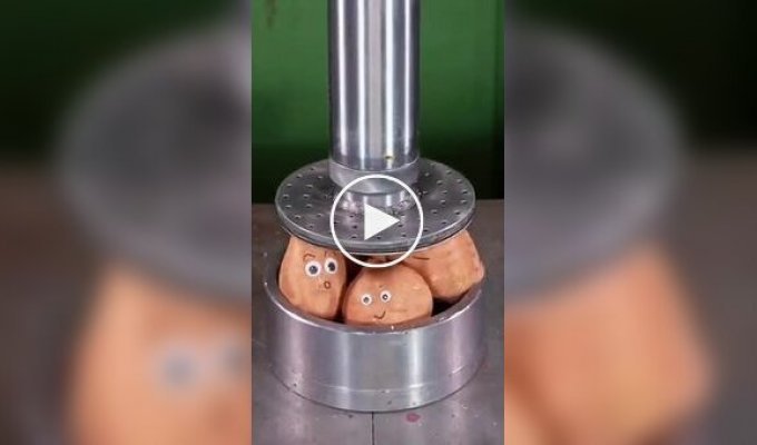 We put various objects under a hydraulic press