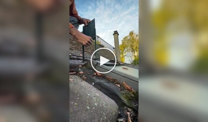 Хлопець випадково спіймав кота, встановлюючи пастку для щур