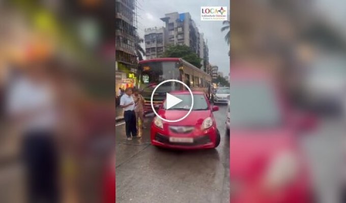 A huge traffic jam occurred in a megalopolis due to one car: a husky was driving