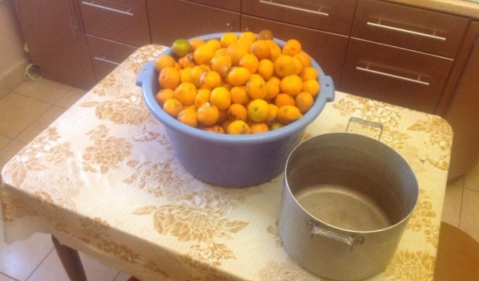 Варим самогон из мандарин (12 фото)