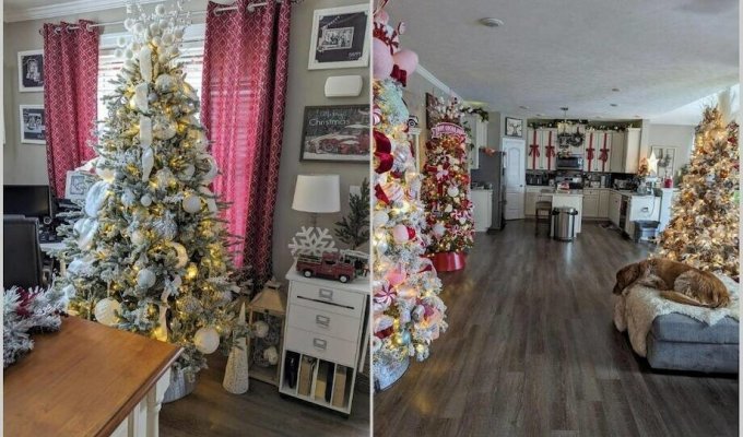An American woman puts up 26 Christmas trees in her house every year, and they are magnificent! (6 photos)