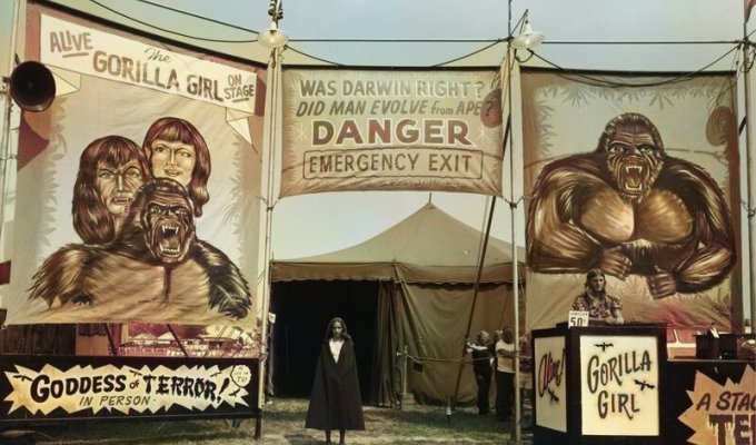 Американская история ужасов: реальные бродячие цирки в документальном фотопроекте Рэндала Левенсона (31 фото)