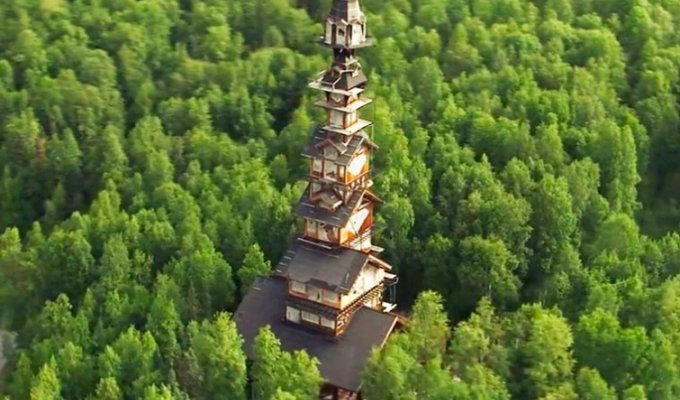 Мужчина в одиночку построил массивную хижину высотой 55 метров в лесах Аляски (10 фото)