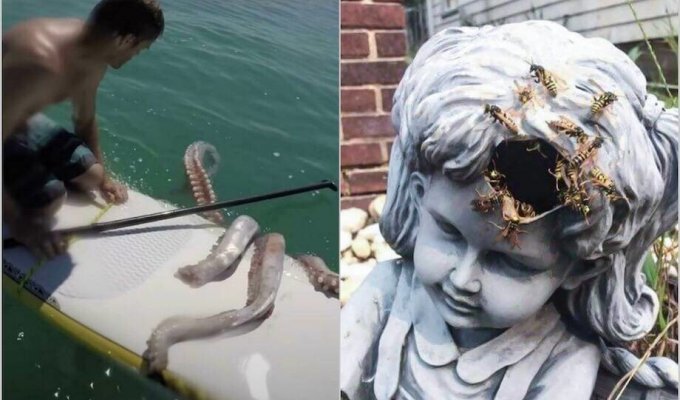 15 Times People Stumbled On Nightmarish Things Made By Mother Nature (16 Photos)