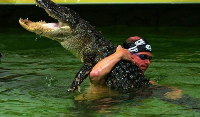 Опасные игры с крокодилами (15 фото)