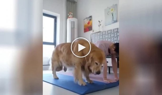 The dog and his owner showed by their own example the importance of exercise