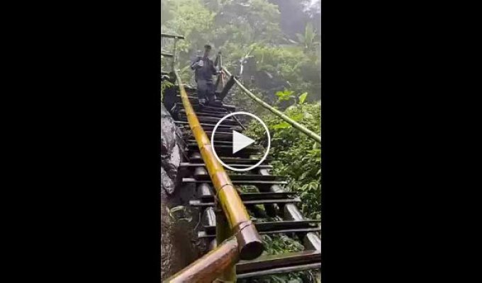 Лестница и дождь