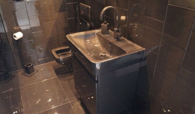 Полностью карбоновый дизайн туалета (6 фото)