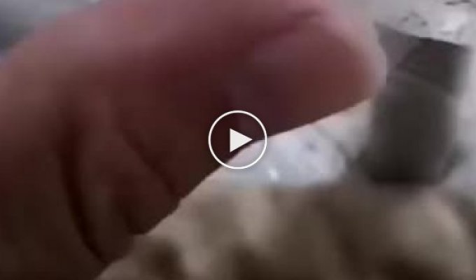 Парень снял видео, на котором жёстко троллит комара