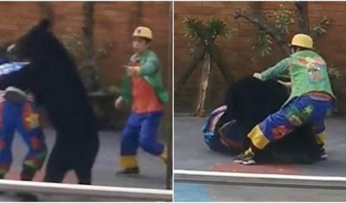 A circus bear suddenly attacked the artist (4 photos + 1 video)