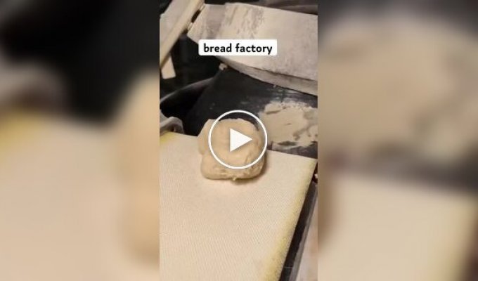 Technologies and equipment used in baking bread