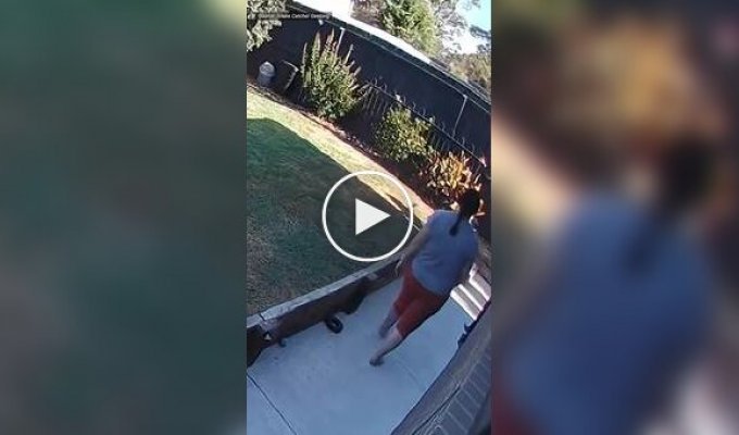 Ядовитая змея обвилась вокруг ноги женщины во дворе дома