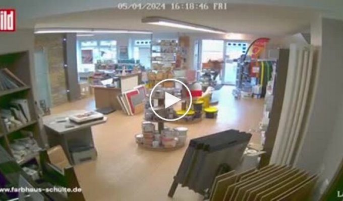 In western Germany, a cow entered a hardware store