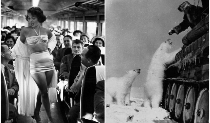 30 curious historical pictures from different years (31 photos)