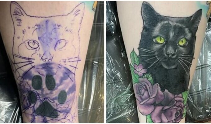 30 successful examples of covering up old tattoos (31 photos)