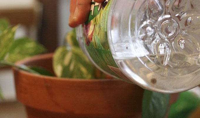 Как с пользой использовать воду после приготовление макарон (10 фото)