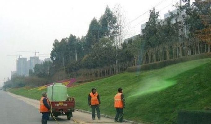 Озеленители в Китае (4 фото)
