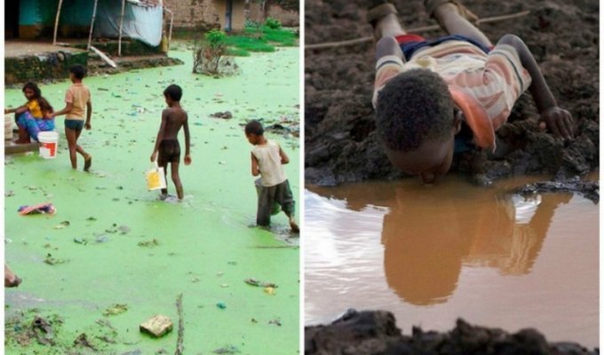 Жизнь в условиях дефицита питьевой воды (11 фото)