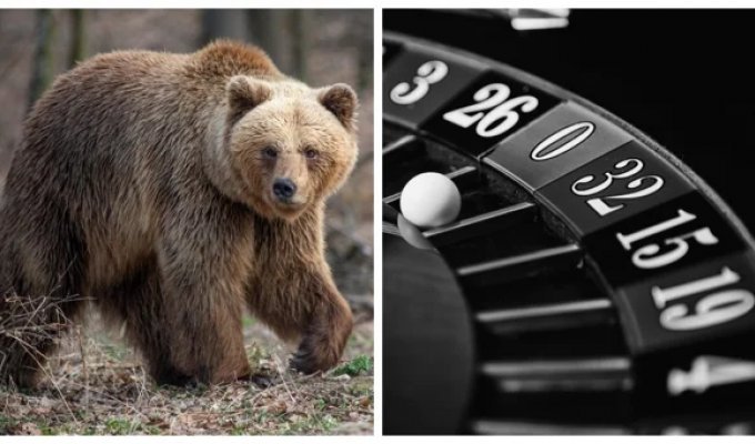 10 Facts About the World That Are Hard to Believe at First Sight (11 photos)