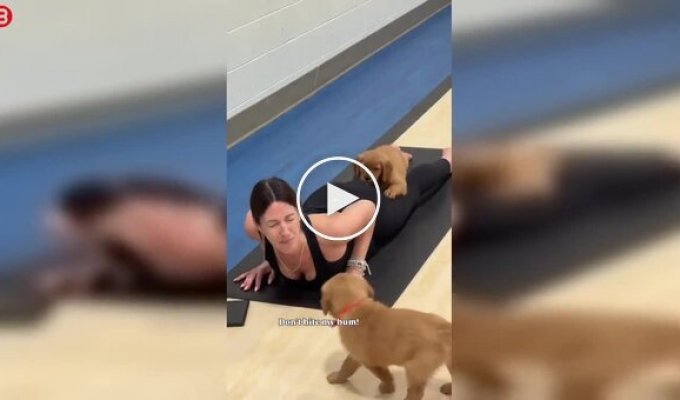 Йога с пушистым помощником