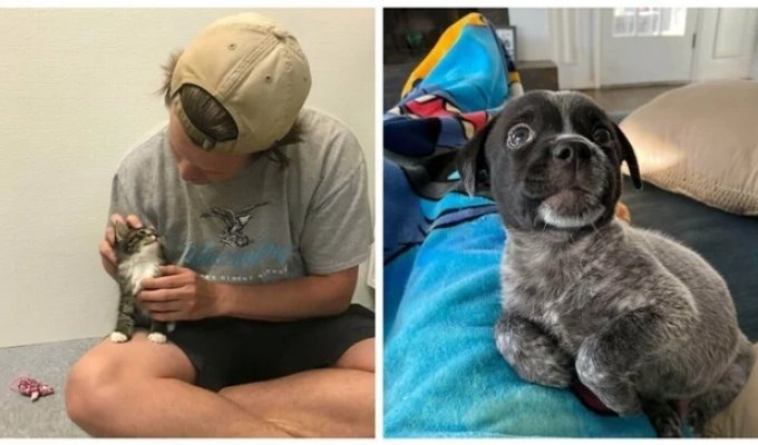 30 Pets Who Recently Found New Homes and Loving Owners (31 Photos)