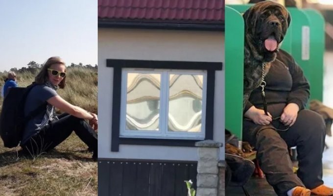 22 Mind-Bending Photos That Will Play Tricks on Your Eyes (23 photos)
