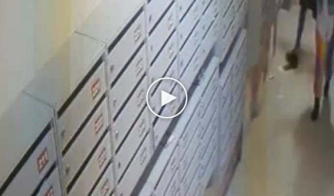 Малолетние вандалы крушат почтовые ящики в подъезде