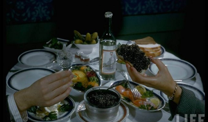 Extraction of black caviar in the USSR in the 60s (28 photos)
