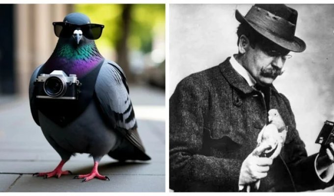 Крылатые аэрофотографы находчивого немецкого аптекаря (10 фото)