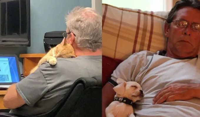 10+ Dads Who Were Against Pets (16 Photos)