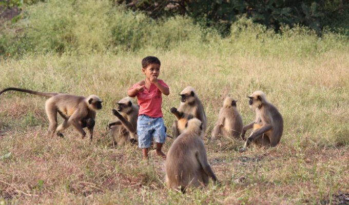 A “real Mowgli” is growing in an Indian village (3 photos)