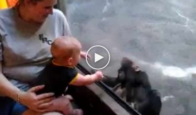Человеческий детеныш и обезьянка