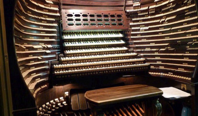 Самый большой в мире орган (9 фото)