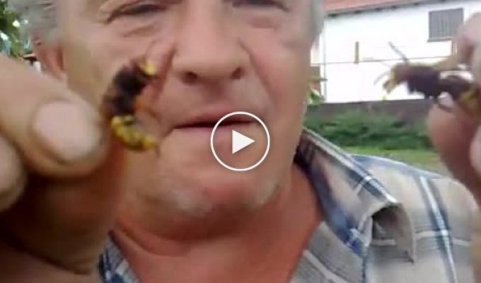 Сумасшедший человек кушает пчел