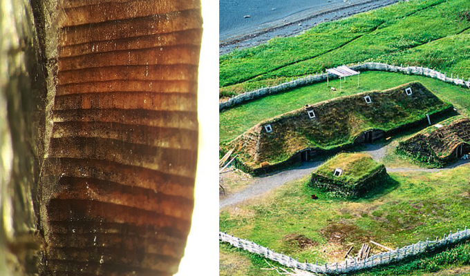 Ученые нашли доказательства, что викинги открыли Америку задолго до Колумба (6 фото)