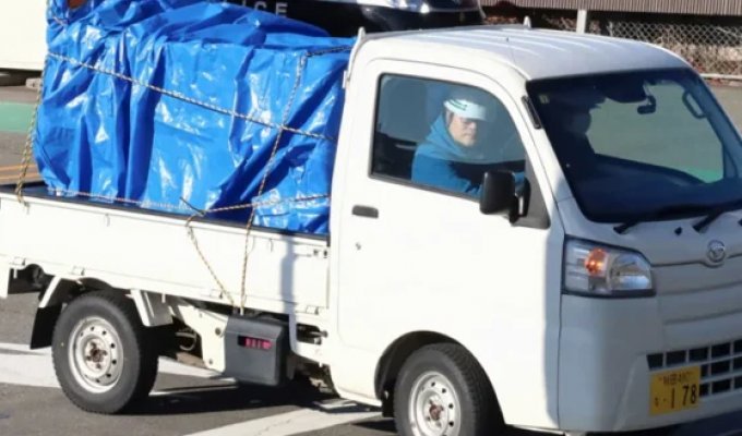 Attacked an employee and smashed the meat department: in Japan, a bear broke into a supermarket (2 photos + 1 video)