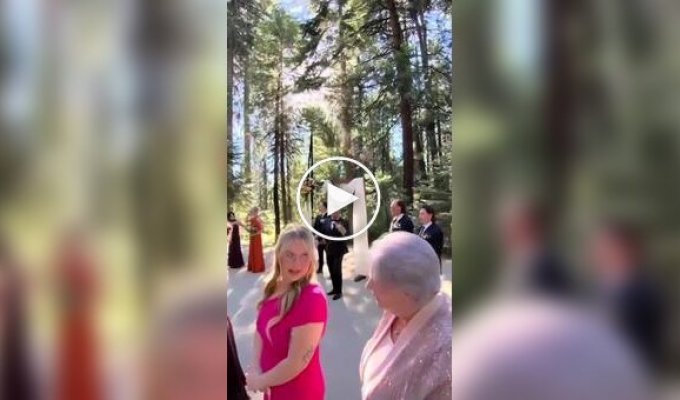 An elderly wedding guest gets hit in the head by a vape