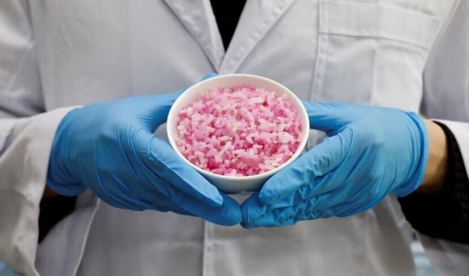 Как корейские учёные выращивают мясо внутри риса (13 фото)