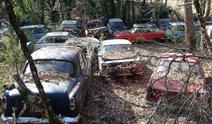 Невероятная коллекция редких заброшенных автомобилей во Франции (15 фото)