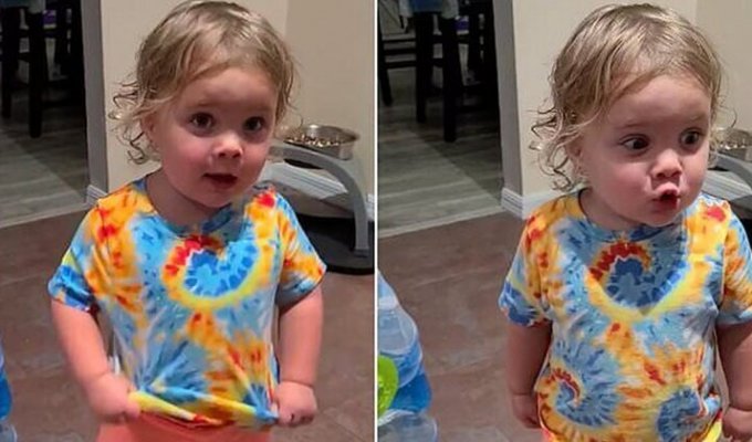 Deny everything: funny little girl refuses to admit to stealing food from a dog bowl (3 photos + 1 video)