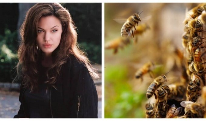Анджелина Джоли снялась в неожиданной фотосессии с роем пчёл (3 фото + 1 видео)