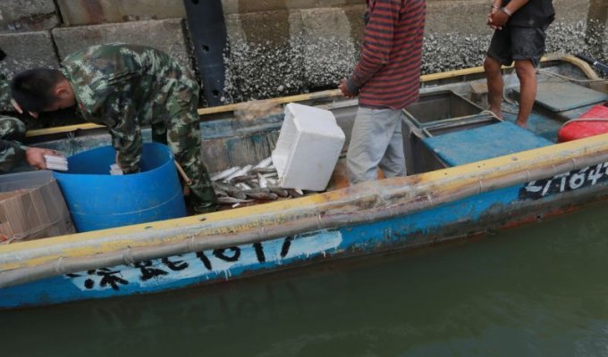 Китайские таможенники изъяли у рыбаков очень крупный улов (4 фото)