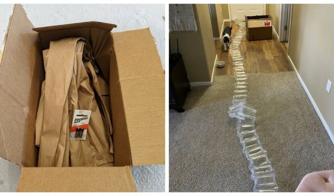 25 examples of excessive packaging that raises many questions (26 photos)
