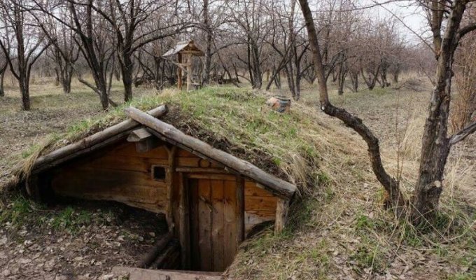 How to build a dugout with your own hands (1 photo)