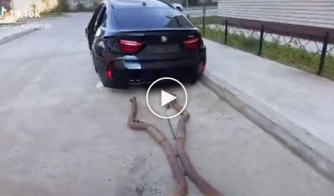 That's why it's better not to leave a BMW X6 on the street in Voronezh