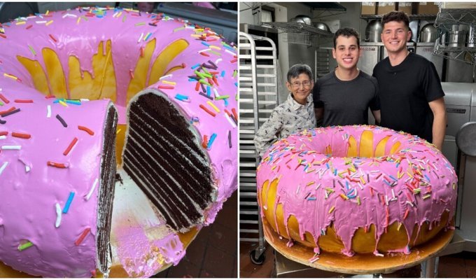 Cooks baked a donut-shaped cake and got into the Guinness Book of Records (5 photos + 1 video)