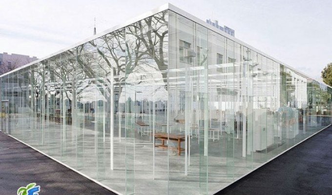 Японская школа, которая полностью сделана из стекла