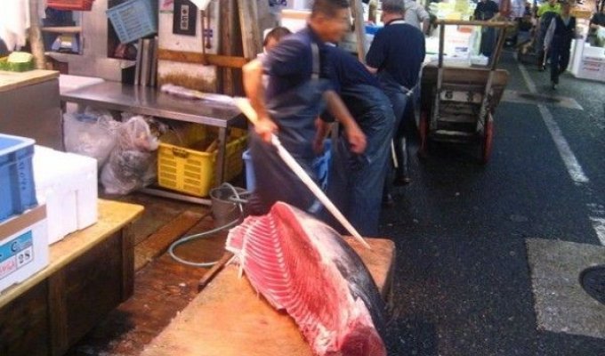 Рыбный Рынок в Токио (78 фото)