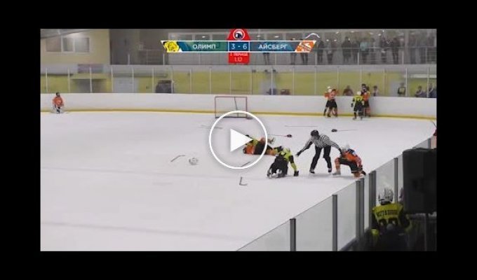 В Саратове во время финала детского хоккейного турнира команды Айсберга и Олимпа устроили драку