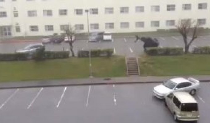 Тайфун и машина